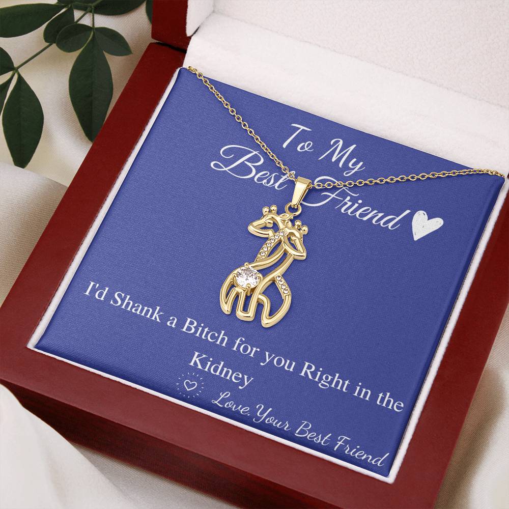 Funny Gift for Friend, Sister, Best Friend Neckalce, I’d Shank a Bitch for You Gift, Funny Birthday Gift Idea, Friend Christmas Gift #0574