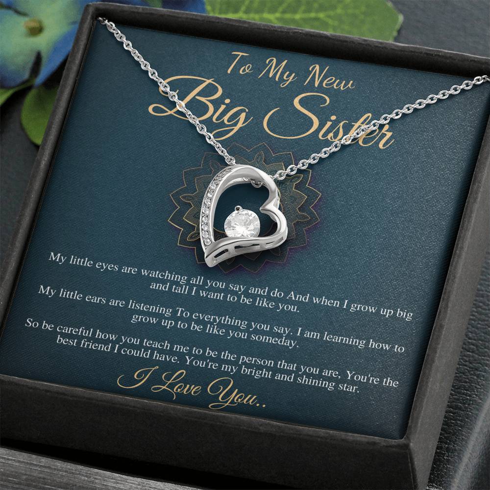 Big Sister Necklace, Big Sister Jewelry, Big Sis, Big Sister Birthday Gift, New Big Sister Gift, Big Sister Christmas Gift,New Sibling #0556