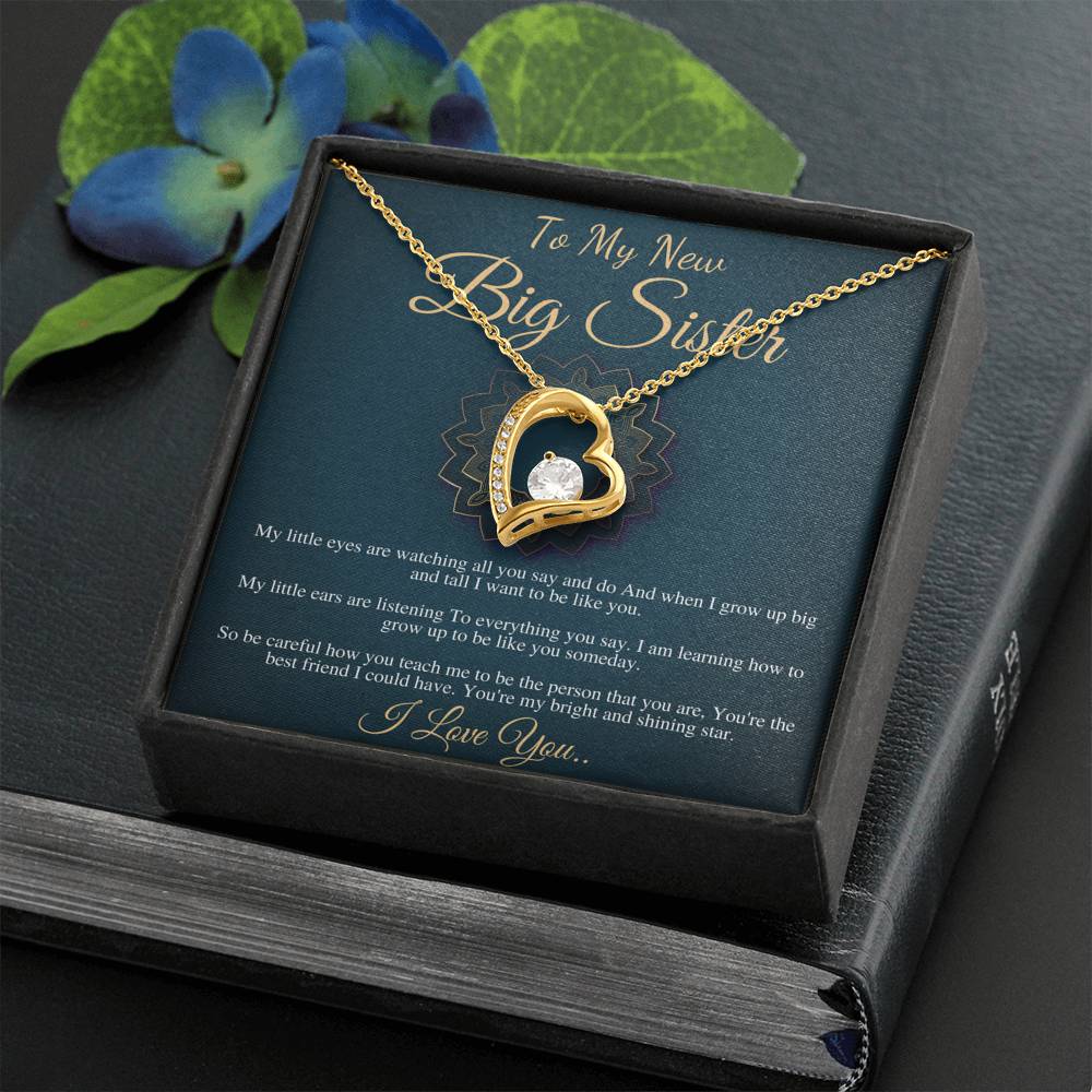 Big Sister Necklace, Big Sister Jewelry, Big Sis, Big Sister Birthday Gift, New Big Sister Gift, Big Sister Christmas Gift,New Sibling #0556