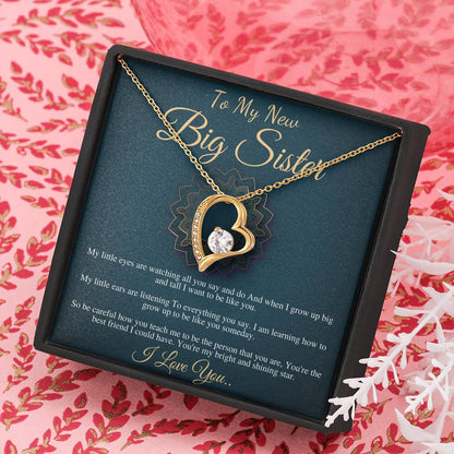 Big Sister Necklace, Big Sister Jewelry, Big Sis, Big Sister Birthday Gift, New Big Sister Gift, Big Sister Christmas Gift,New Sibling #0556