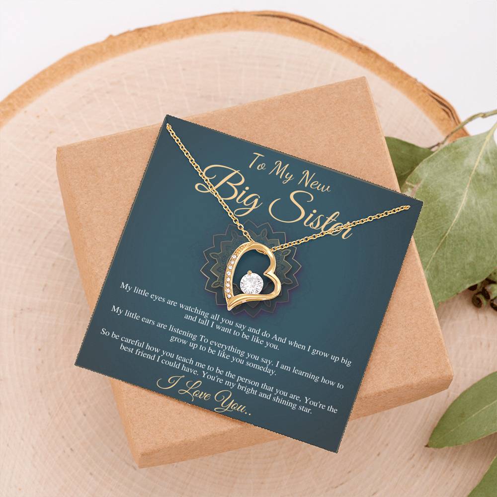 Big Sister Necklace, Big Sister Jewelry, Big Sis, Big Sister Birthday Gift, New Big Sister Gift, Big Sister Christmas Gift,New Sibling #0556