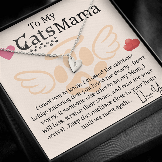 to my cat