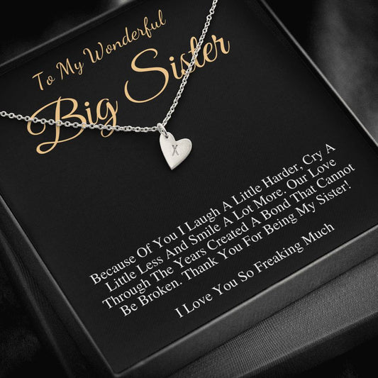 Big Sister Custom Necklace | birthday gift for big sister, sisters Initial heart necklace gift, personalized big sister Christmas gift #0561