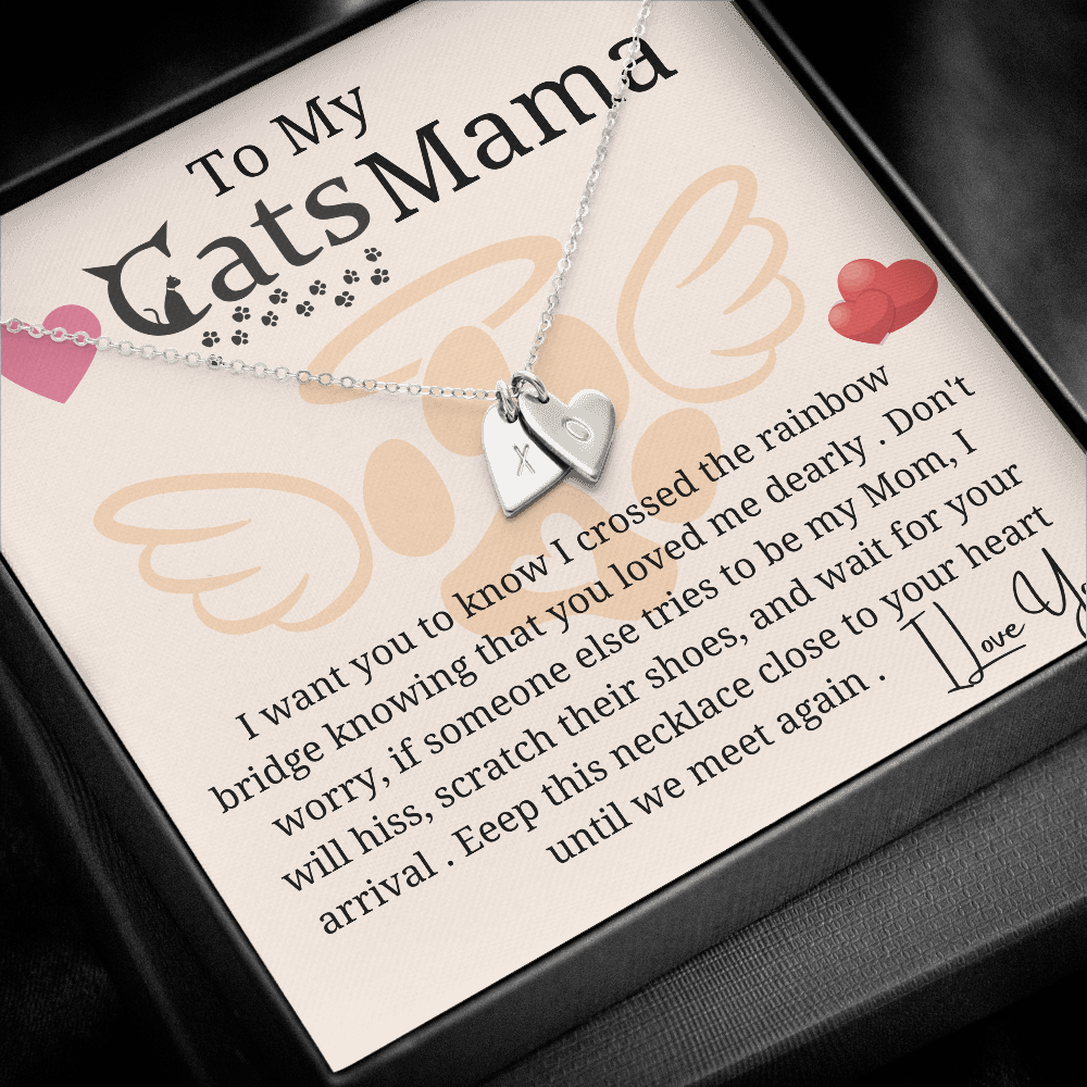 to my cat