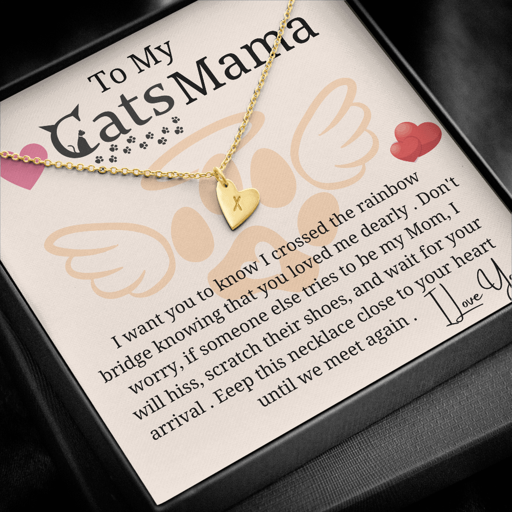 to my cat