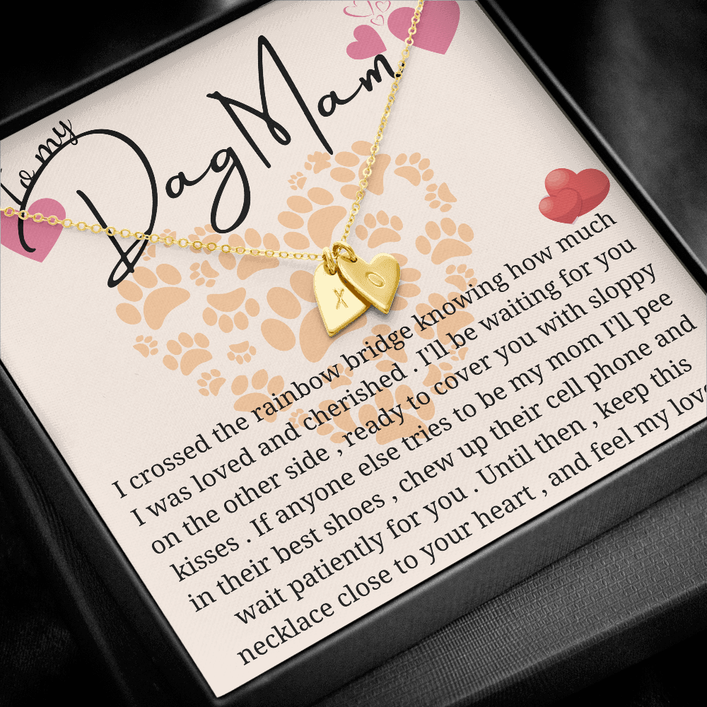 to my dog