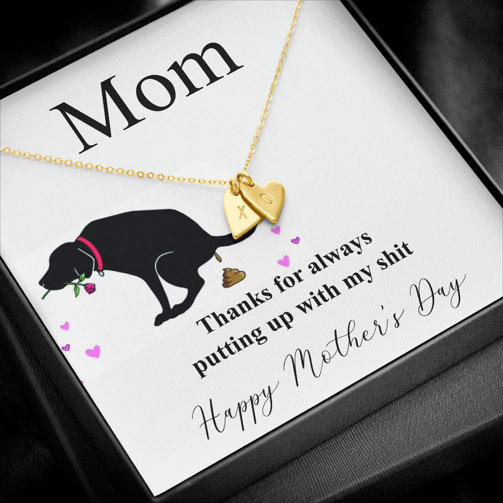 to my momm fanny