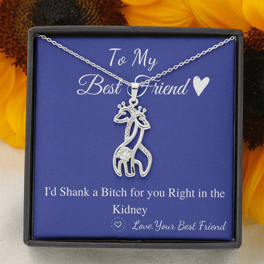 Funny Gift for Friend, Sister, Best Friend Neckalce, I’d Shank a Bitch for You Gift, Funny Birthday Gift Idea, Friend Christmas Gift #0574