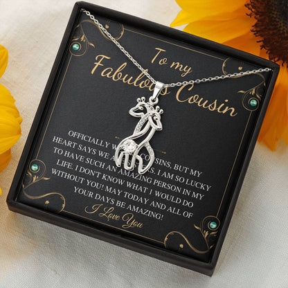 to my fabulous cousin
