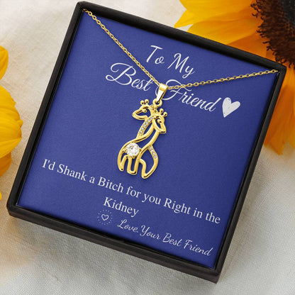 Funny Gift for Friend, Sister, Best Friend Neckalce, I’d Shank a Bitch for You Gift, Funny Birthday Gift Idea, Friend Christmas Gift #0574